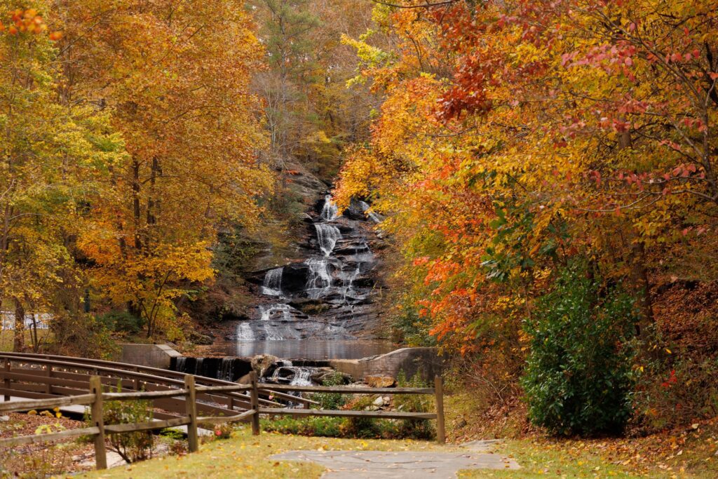 Fall Foliage Timeline for Georgia