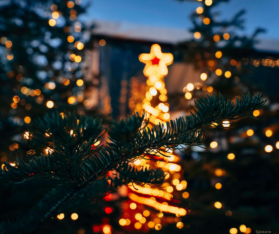 Romantic Places to Propose in Atlanta This December.