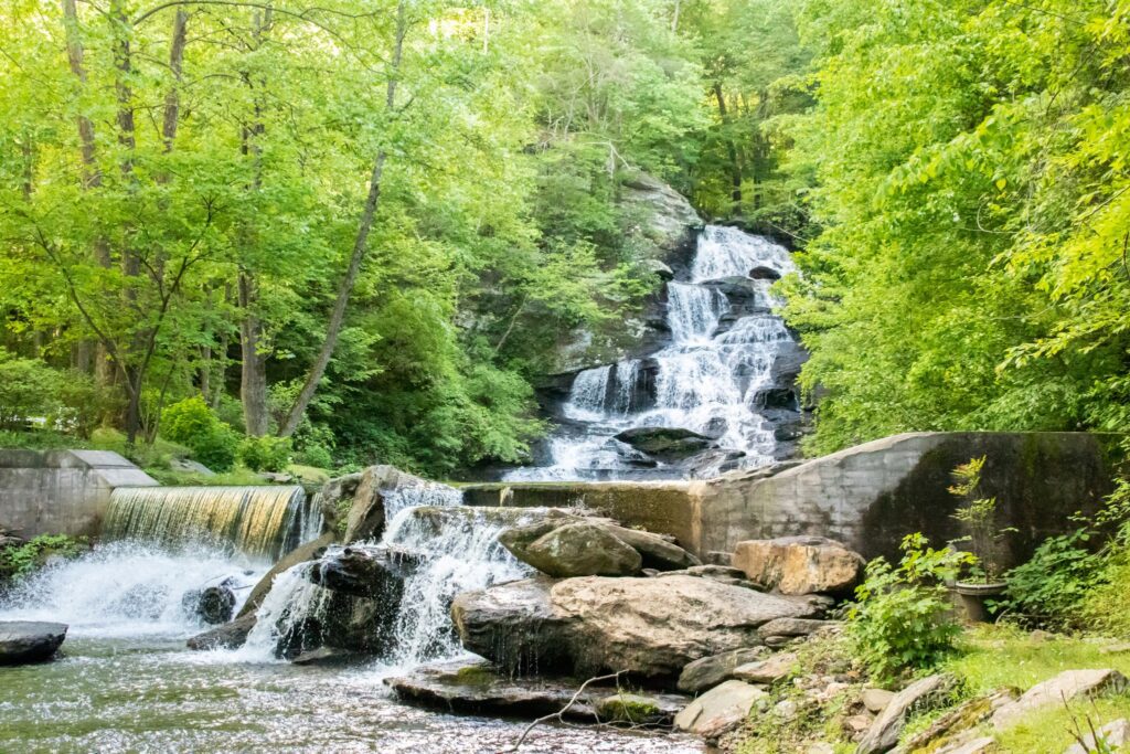 What Is the Best Season for a North Georgia Wedding? Spring vs. Summer vs. Fall vs. Winter