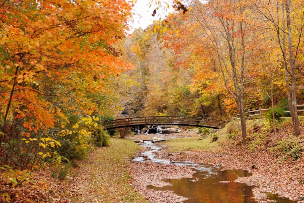 Atlanta to Helen: Go Full Fall at Oktoberfest