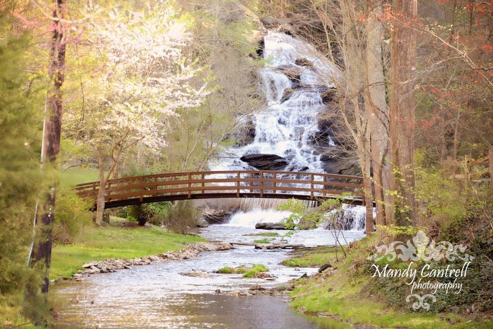 Waterfall wedding venue in North Georgia during spring wedding season